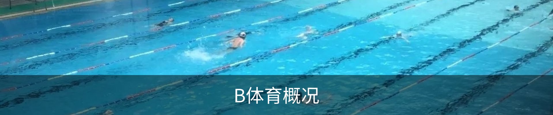 B体育概况